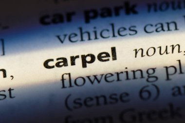 karpel Word'de bir sözlük. karpel kavramı