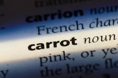 havuç Word'de bir sözlük. havuç kavramı