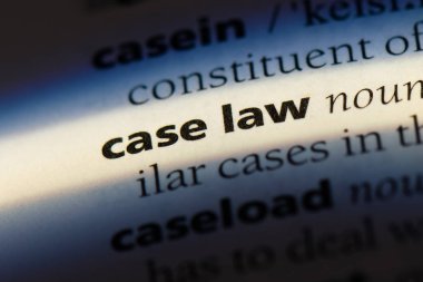 içtihat hukuku sözcüğü sözlüğe. içtihat hukuku kavramı