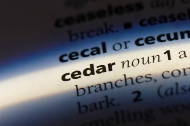 Sedir Word'de bir sözlük. Sedir kavramı