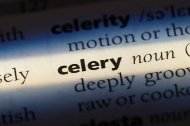 kereviz Word'de bir sözlük. kereviz kavramı