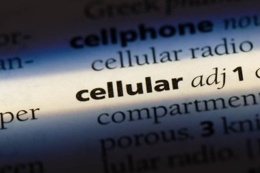 hücresel tek kelimeyle bir sözlük. hücresel kavramı