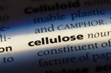 Selüloz Word'de bir sözlük. Selüloz kavramı