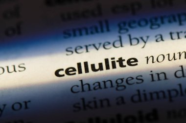 Selülit Word'de bir sözlük. Selülit kavramı