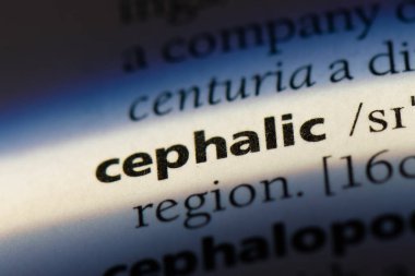 bir sözlüğü'ndeki sefalik sözcüğü. sefalik kavramı