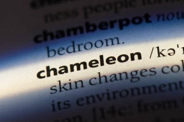 bukalemun Word'de bir sözlük. bukalemun kavramı