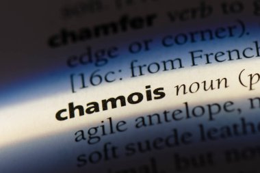 Chamois tek kelimeyle bir sözlük. Chamois kavramı