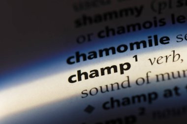 Sözlüğe sözcük şampiyon. kavram şampiyon