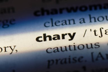 bir sözlüğü'ndeki sakınan sözcüğü. sakınan kavramı