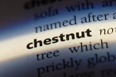 kestane tek kelimeyle bir sözlük. kestane kavramı