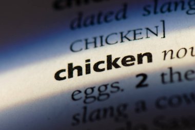 tavuk Word'de bir sözlük. tavuk kavramı