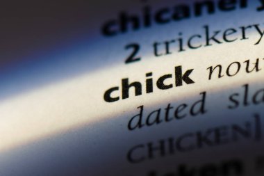 piliç Word'de bir sözlük. piliç kavramı