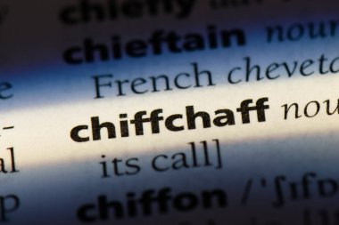 çıvgın Word'de bir sözlük. çıvgın kavramı