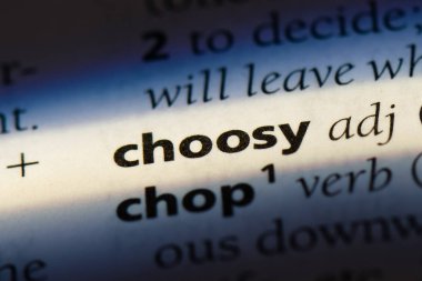 seçici tek kelimeyle bir sözlük. titiz kavramı