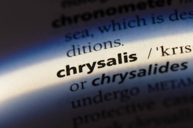 Chrysalis Word'de bir sözlük. Chrysalis kavramı