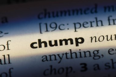 salak Word'de bir sözlük. aptal kavramı