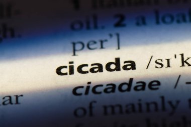 ağustosböceği Word'de bir sözlük. ağustosböceği kavramı