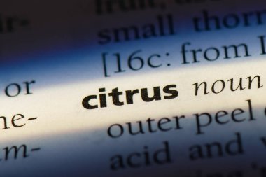 Narenciye tek kelimeyle bir sözlük. Narenciye kavramı