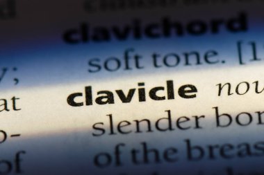 Köprücük Word'de bir sözlük. Köprücük kavramı