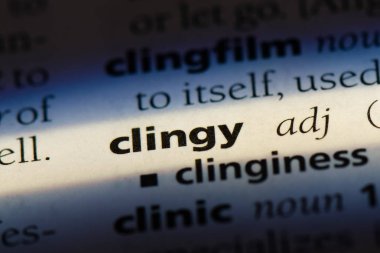 yapışkan tek kelimeyle bir sözlük. yapışkan kavramı