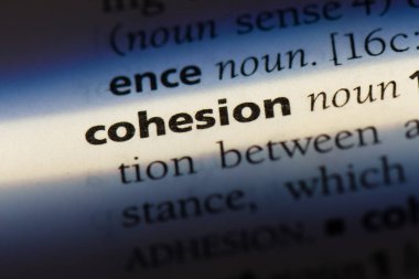 uyum Word'de bir sözlük. uyum kavramı