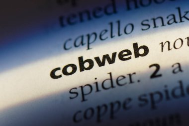 bir sözlüğü'ndeki sözcüğü örümcek ağı. örümcek ağı kavramı