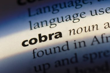 kobra Word'de bir sözlük. Kobra kavramı