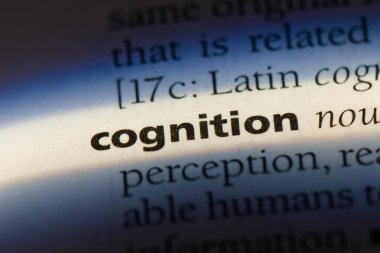 bir sözlüğü'ndeki biliş sözcüğü. biliş kavramı