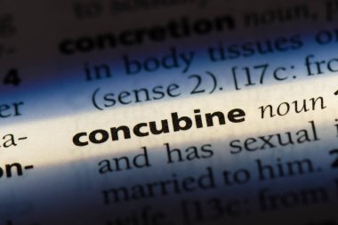 cariye Word'de bir sözlük. cariye kavramı