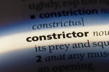 yılanı Word'de bir sözlük. yılanı kavramı