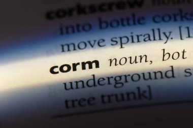 Soğanların Word'de bir sözlük. Soğanların kavramı