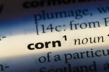 bir sözlüğü'ndeki Mısır sözcüğü. Mısır kavramı