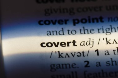 gizli kelime sözlüğe. gizli kavramı