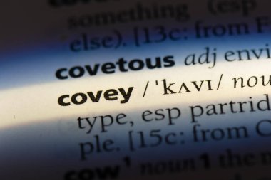 Covey Word'de bir sözlük. Covey kavramı