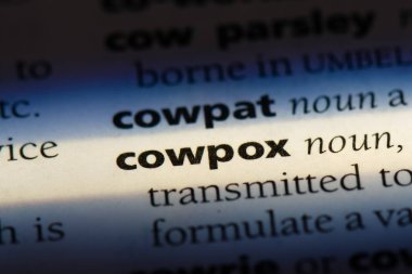 ineklerde Word'de bir sözlük. ineklerde kavramı