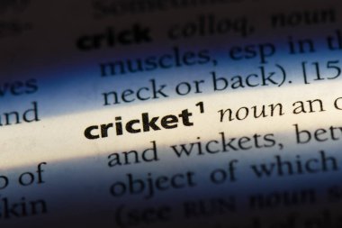 Kriket Word'de bir sözlük. Kriket kavramı