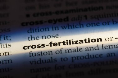 çapraz gübreleme Word'de bir sözlük. çapraz gübreleme kavramı