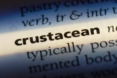 kabuklu tek kelimeyle bir sözlük. kabuklu kavramı