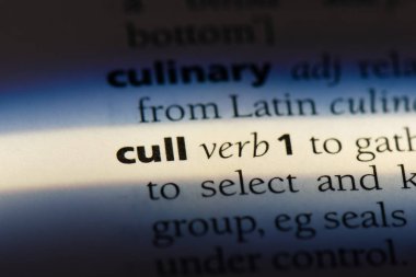 bir sözlüğü'ndeki sözcüğü itlaf. kavram itlaf