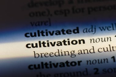 ekimi Word'de bir sözlük. ekimi kavramı