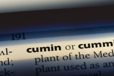 kimyon Word'de bir sözlük. kimyon kavramı