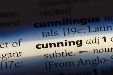 kurnaz tek kelimeyle bir sözlük. kurnaz kavramı