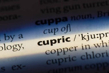 kuprik tek kelimeyle bir sözlük. kuprik kavramı