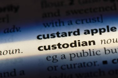 veli Word'de bir sözlük. veli kavramı