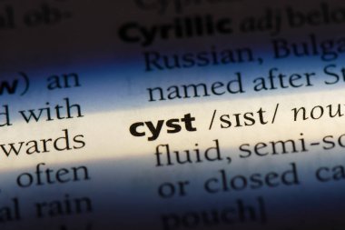 kist Word'de bir sözlük. kist kavramı