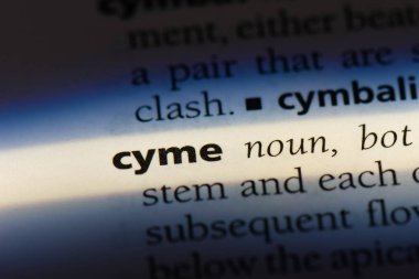CYME sözcük sözlüğe. CYME kavramı