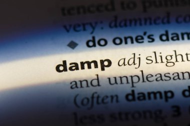 bir sözlüğü'ndeki nemli sözcüğü. nemli kavramı