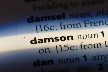 bir sözlüğü'ndeki Damson sözcüğü. Damson kavramı