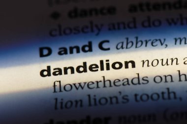 Karahindiba tek kelimeyle bir sözlük. karahindiba kavramı