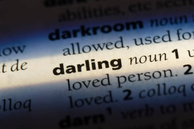 Sevgilim tek kelimeyle bir sözlük. Sevgilim kavramı